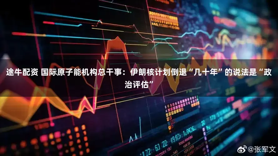 途牛配资 国际原子能机构总干事：伊朗核计划倒退“几十年”的说法是“政治评估”