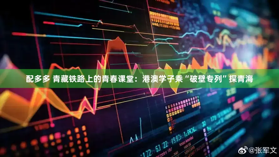 配多多 青藏铁路上的青春课堂：港澳学子乘“破壁专列”探青海