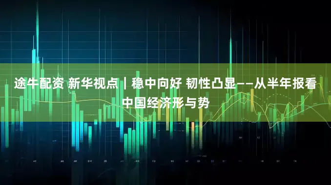 途牛配资 新华视点｜稳中向好 韧性凸显——从半年报看中国经济形与势