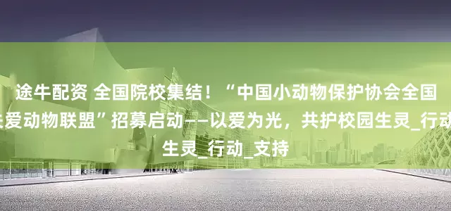途牛配资 全国院校集结！“中国小动物保护协会全国院校关爱动物联盟”招募启动——以爱为光，共护校园生灵_行动_支持
